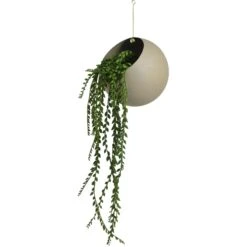 AYTM Globe Hängetopf Ø17x28 Cm, Taupe -Heimdekoration Rabatt aytm globe hanging flowerpot black 17x28 cm 8