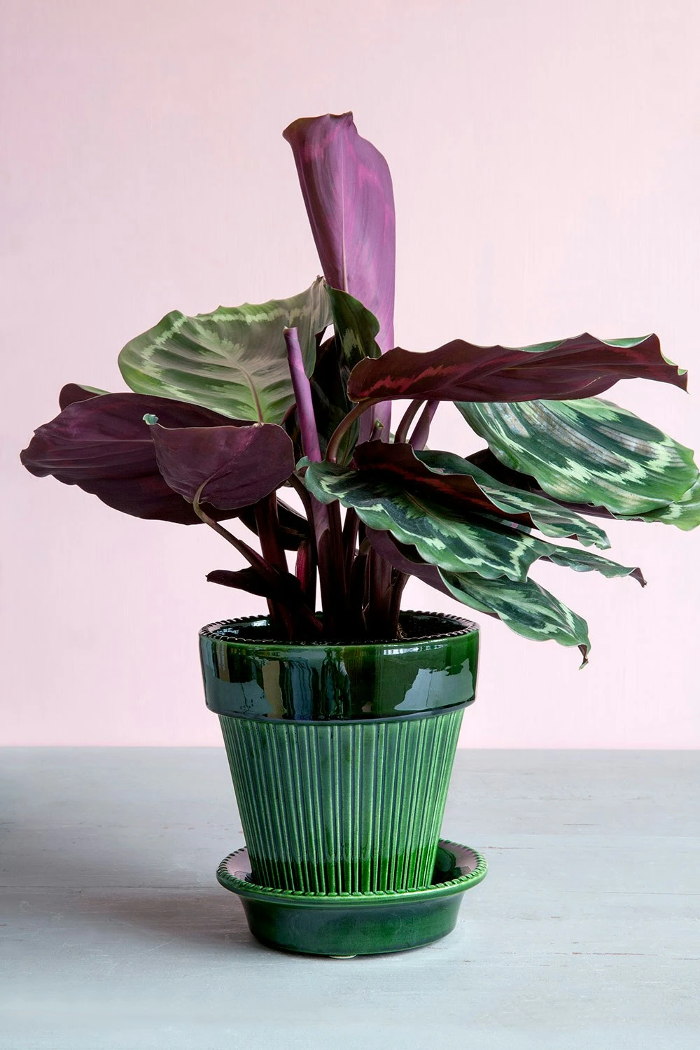 Bergs Potter Simona Pot Green, 14 Cm 6 Bergs Potter Simona Pot Green, 14 Cm – Bild 4