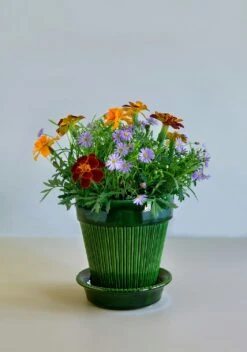 Bergs Potter Simona Pot Green, 14 Cm 13 Bergs Potter Simona Pot Green, 14 Cm -Heimdekoration Rabatt bergs potter simona pot green 9