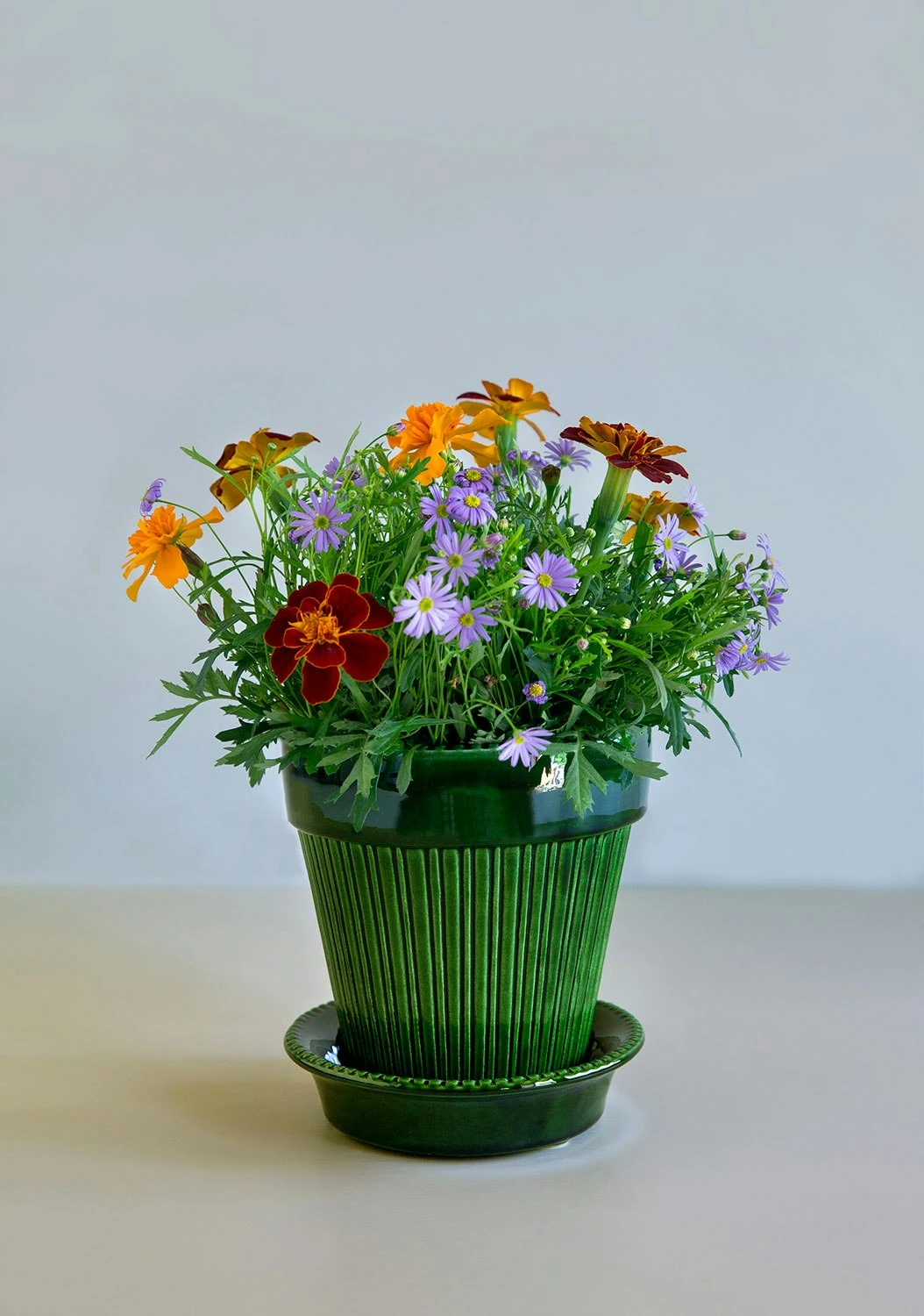 Bergs Potter Simona Pot Green, 14 Cm 8 Bergs Potter Simona Pot Green, 14 Cm – Bild 6