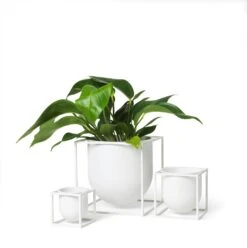 By Lassen Kubus Flowerpot 10, White -Heimdekoration Rabatt by lassen kubus flowerpot 10 cm 6