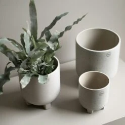 DBKD Plus Topf Mole Dot, 160 Mm -Heimdekoration Rabatt dbkd plus 4 1