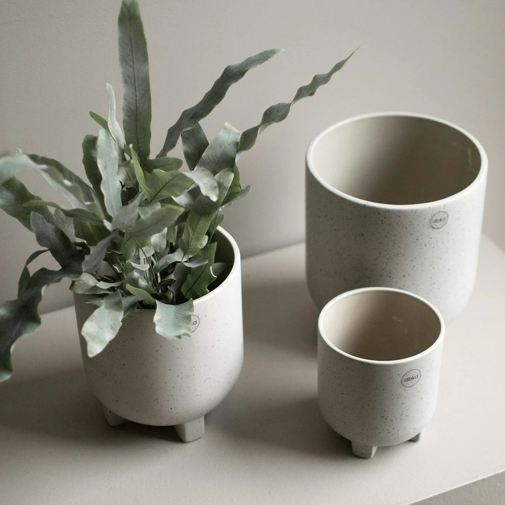 DBKD Plus Topf Mole Dot, 100 Mm 4 DBKD Plus Topf Mole Dot, 100 Mm – Bild 2