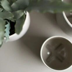 DBKD Plus Topf Mole Dot, 160 Mm -Heimdekoration Rabatt dbkd plus 6 1