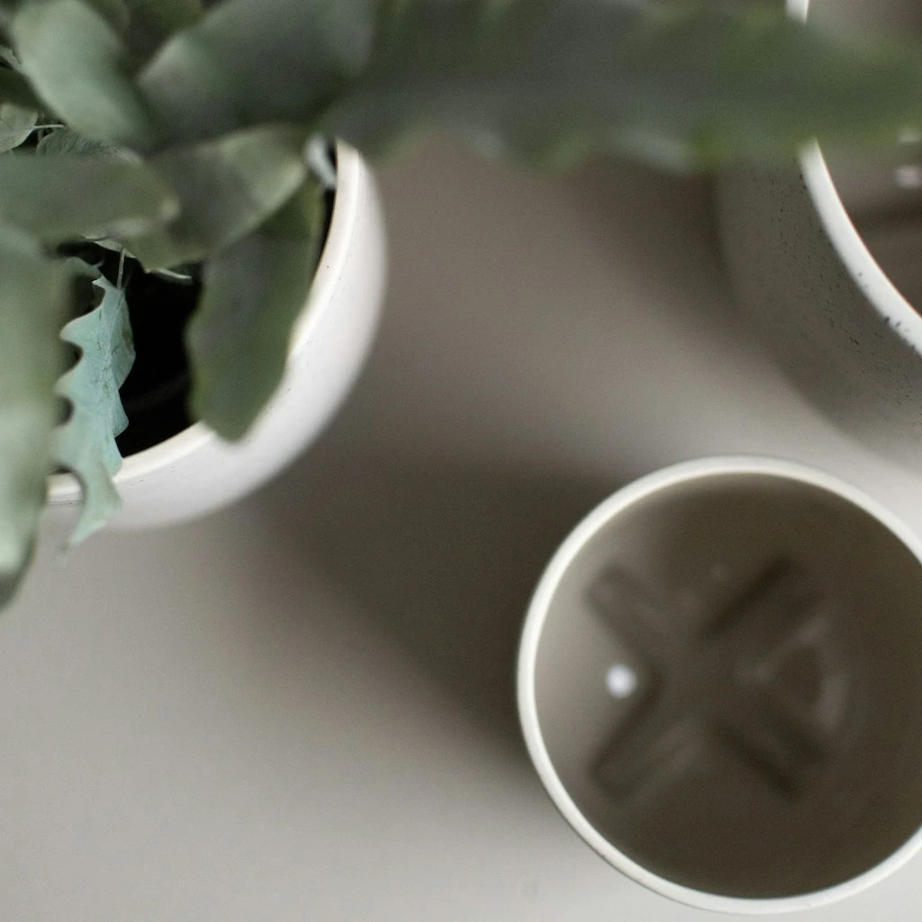 DBKD Plus Topf Mole Dot, 100 Mm 6 DBKD Plus Topf Mole Dot, 100 Mm – Bild 4