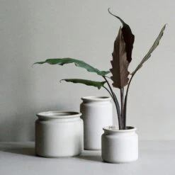 DBKD Pure Topf Large, Maulwurfbraun -Heimdekoration Rabatt dbkd pure topf 26 weiss 7