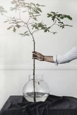 Ernst Glasvase Ø30cm -Heimdekoration Rabatt ernst glassvase klar 4