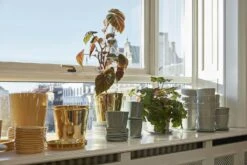 Hay Botanical Family Topfuntersetzer XL, Off-White -Heimdekoration Rabatt hay botanical family topfuntersetzer xl 3