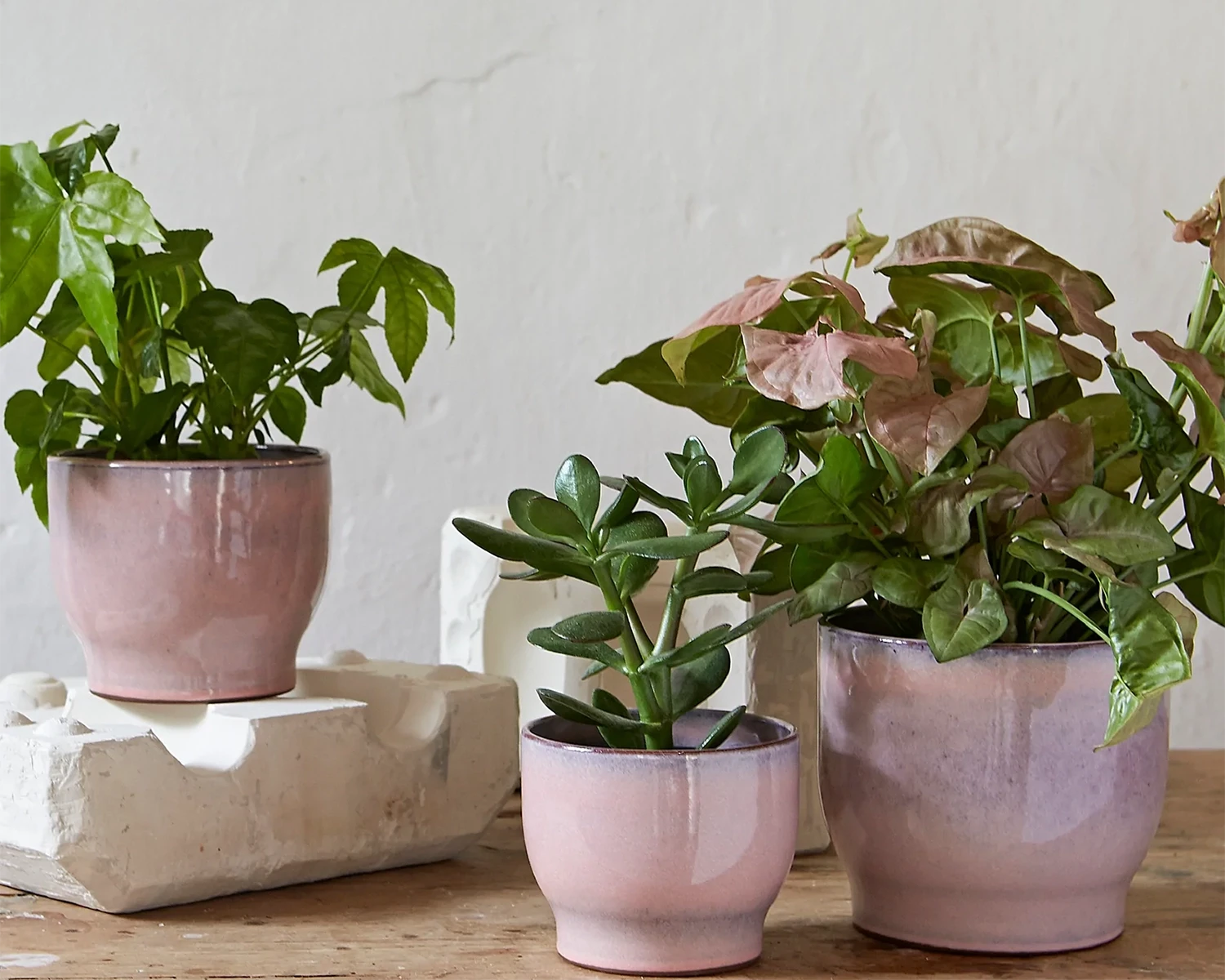 Knabstrup Keramik Übertopf Ø 14,5 Cm, Rosa 4 Knabstrup Keramik Übertopf Ø 14,5 Cm, Rosa – Bild 2