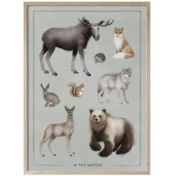 In The Woods Poster 30x40 Cm