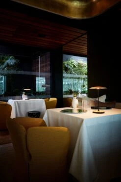 Marset Ginger 20 M Tischlampe Tragbar, Eiche 6 Marset Ginger 20 M Tischlampe Tragbar, Eiche -Heimdekoration Rabatt marset ginger 20 m tischleuchte cordless wenge 20