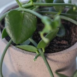 Mette Ditmer Stone Topf Ø17 Cm, Blush -Heimdekoration Rabatt mette ditmer stone 14