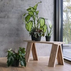 Muubs Mosu Jar Dekorativer Topf, 12 Cm -Heimdekoration Rabatt muubs mosu dekorativer topf 2