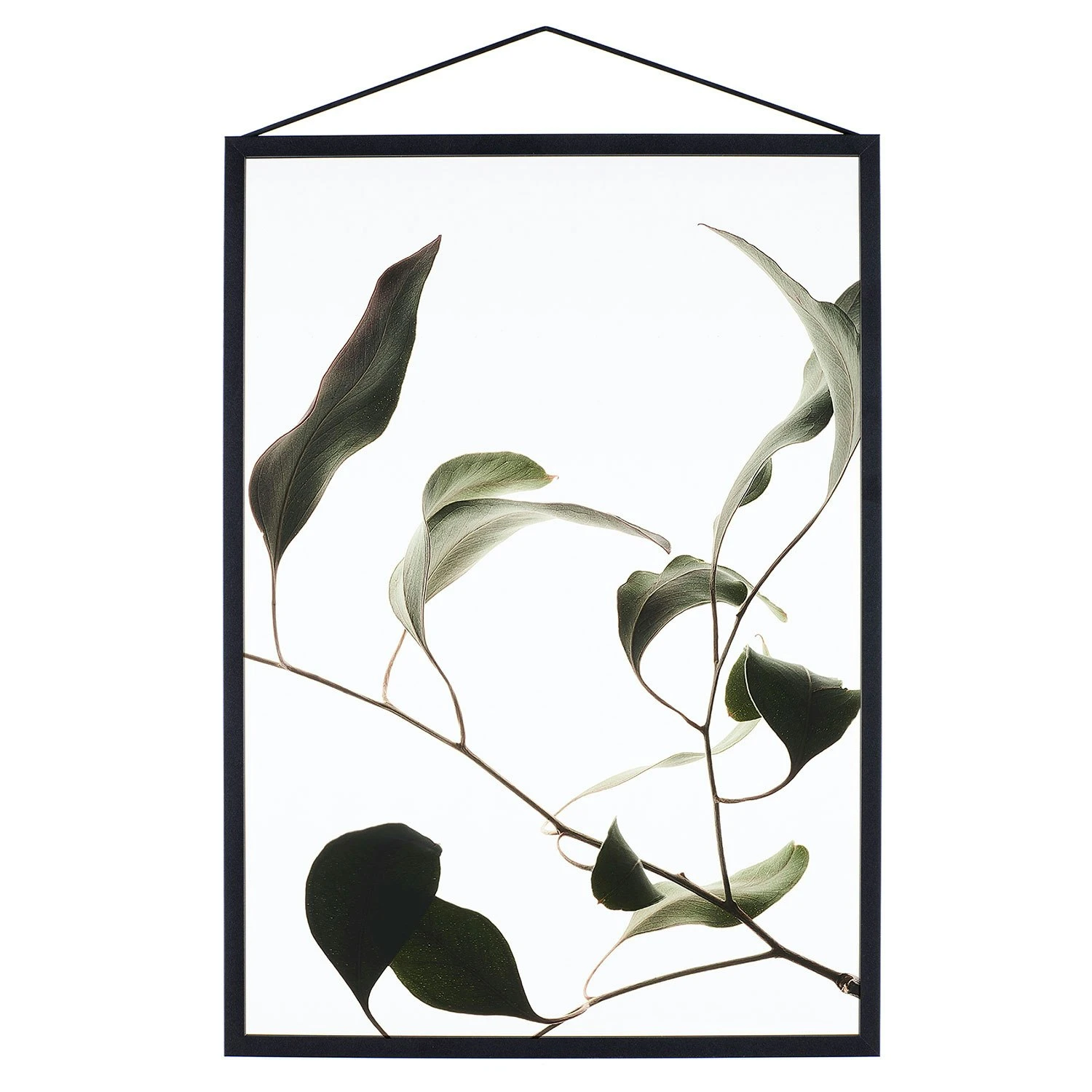 Floating Leaves 09 Poster A3 3 Floating Leaves 09 Poster A3