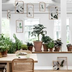 Floating Leaves 09 Poster A3 10 Floating Leaves 09 Poster A3 -Heimdekoration Rabatt paper collective floating leaves 09 poster a3 2