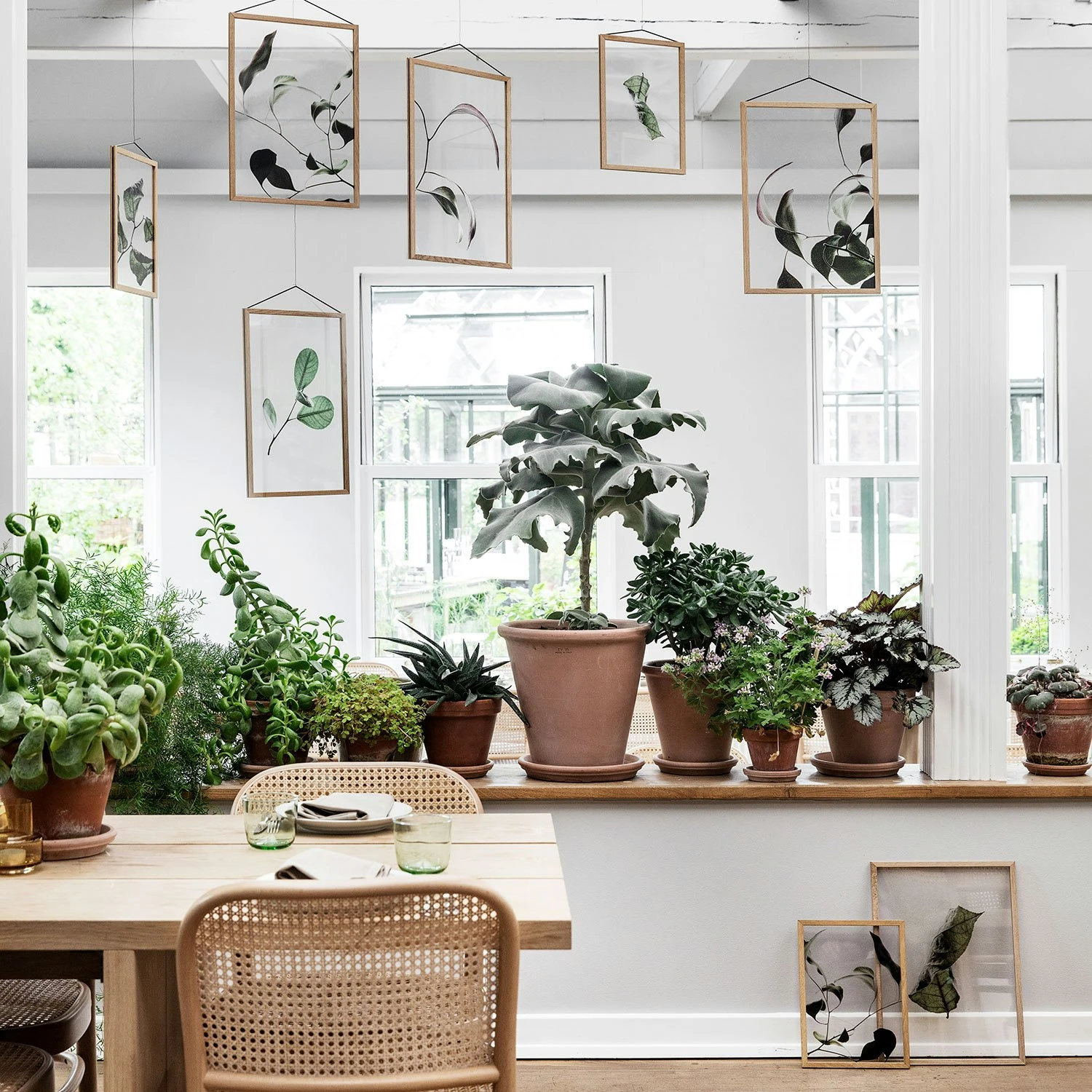 Floating Leaves 09 Poster A3 5 Floating Leaves 09 Poster A3 – Bild 3