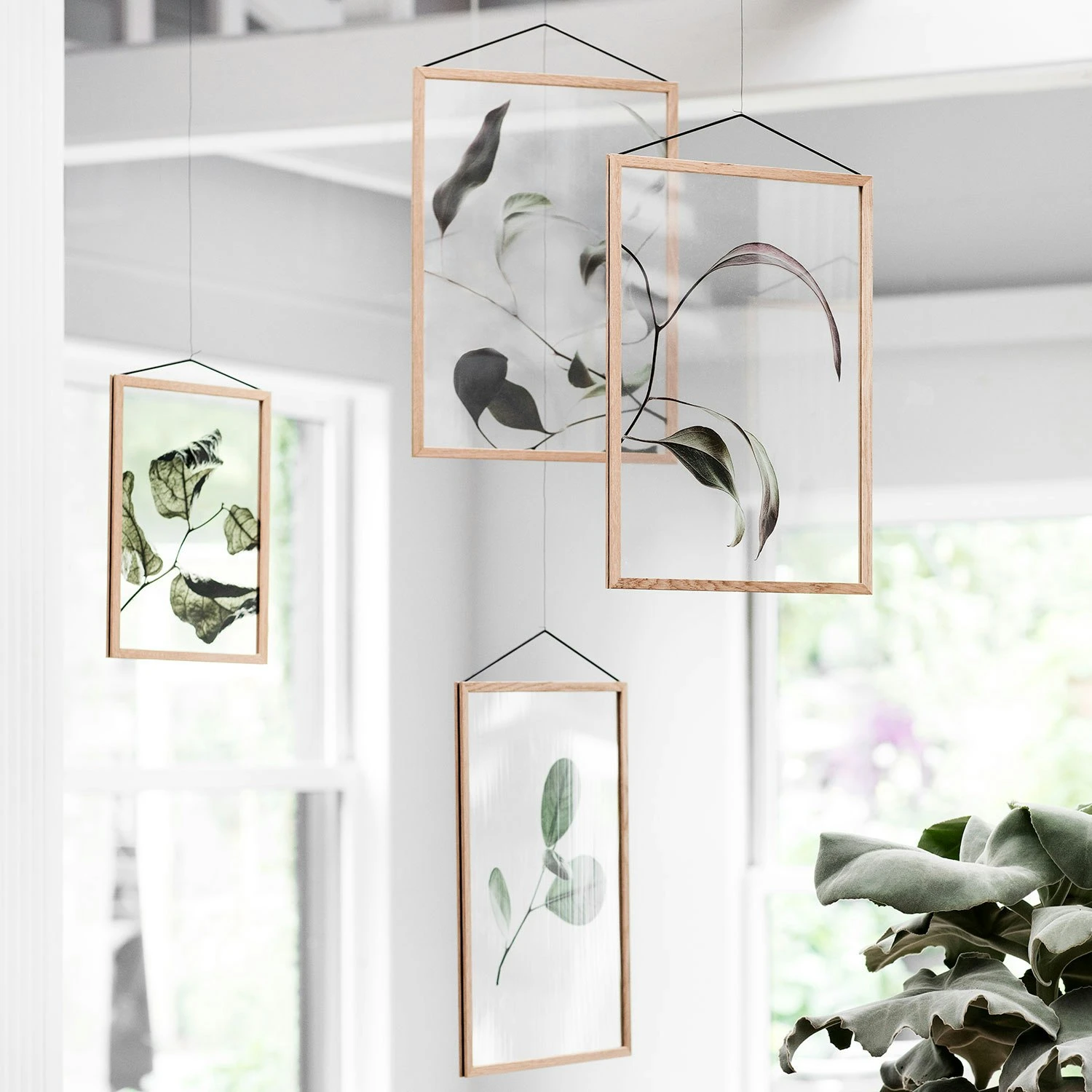 Floating Leaves 09 Poster A3 6 Floating Leaves 09 Poster A3 – Bild 4