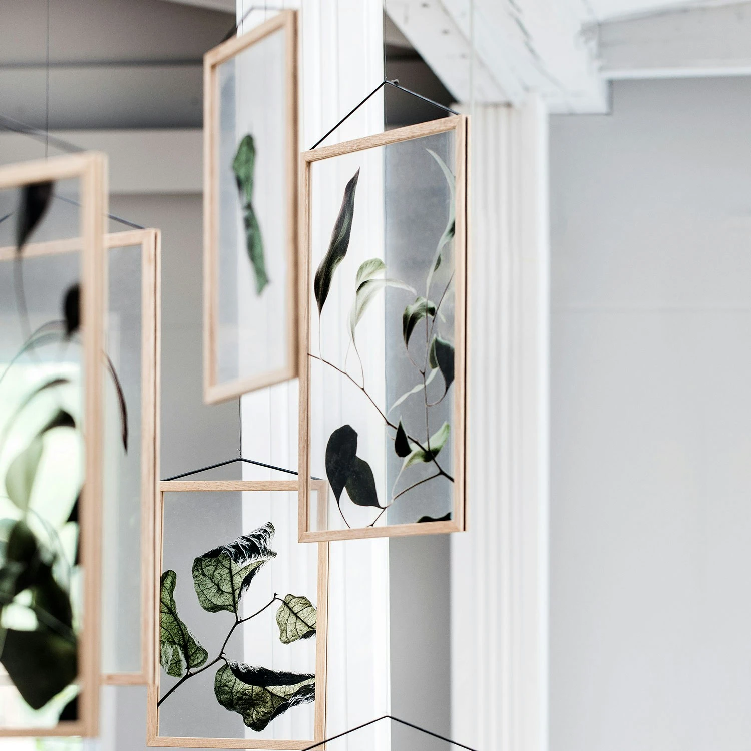 Floating Leaves 09 Poster A3 7 Floating Leaves 09 Poster A3 – Bild 5