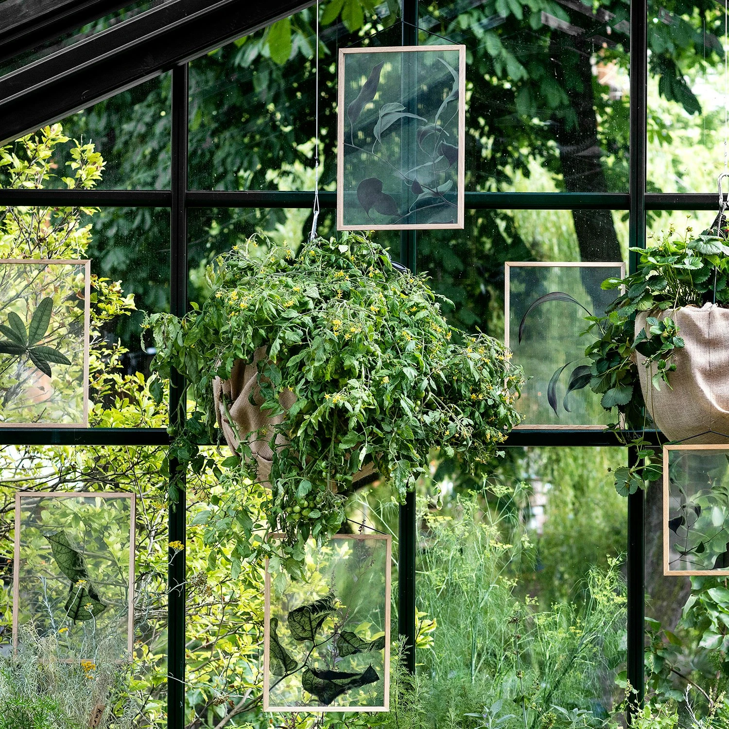 Floating Leaves 09 Poster A3 8 Floating Leaves 09 Poster A3 – Bild 6