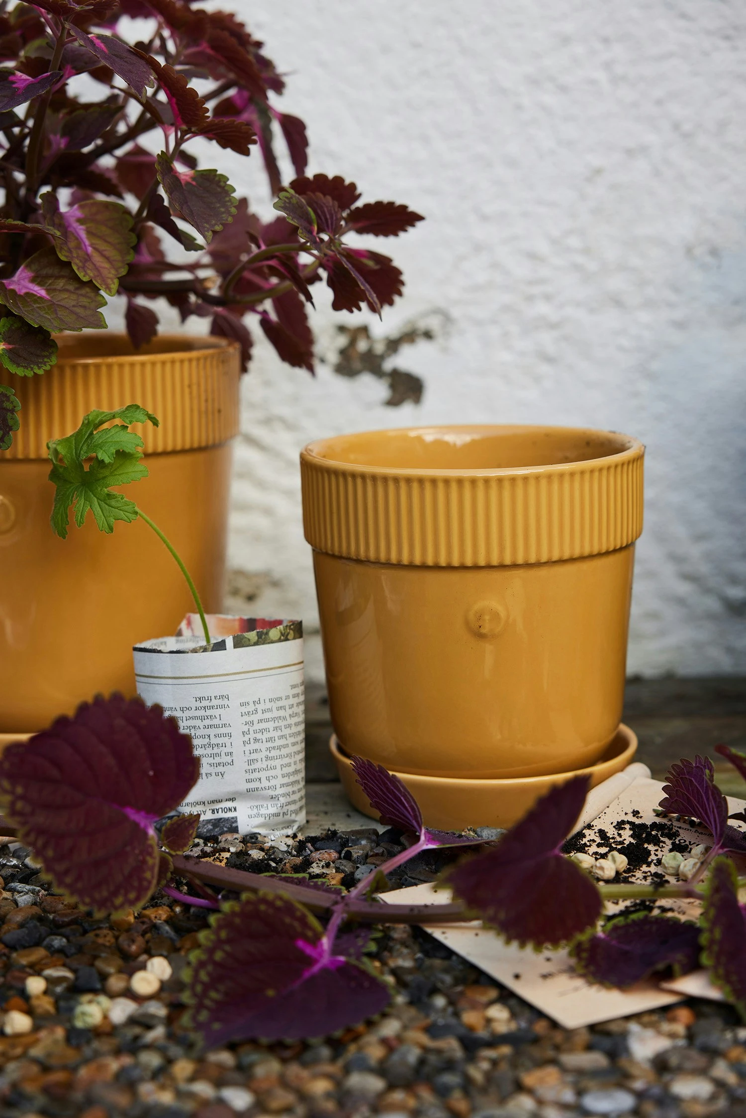 Sagaform Elise Topf 15 Cm, Gelb 4 Sagaform Elise Topf 15 Cm, Gelb – Bild 2