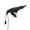 Seletti Bird Lamp Looking, Schwarz 1 Seletti Bird Lamp Looking, Schwarz -Heimdekoration Rabatt seletti bird lamp looking schwarz 0