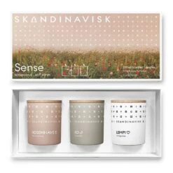 Skandinavisk SENSE Geschenkset Duftkerze 3-er Set -Heimdekoration Rabatt skandinavisk sense geschenkset duftkerze 3 er set 2