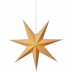 Star Trading Cotton Weihnachtsstern, Gold