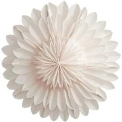 Watt & Veke Lotus 44 Weihnachtsstern, Weiß